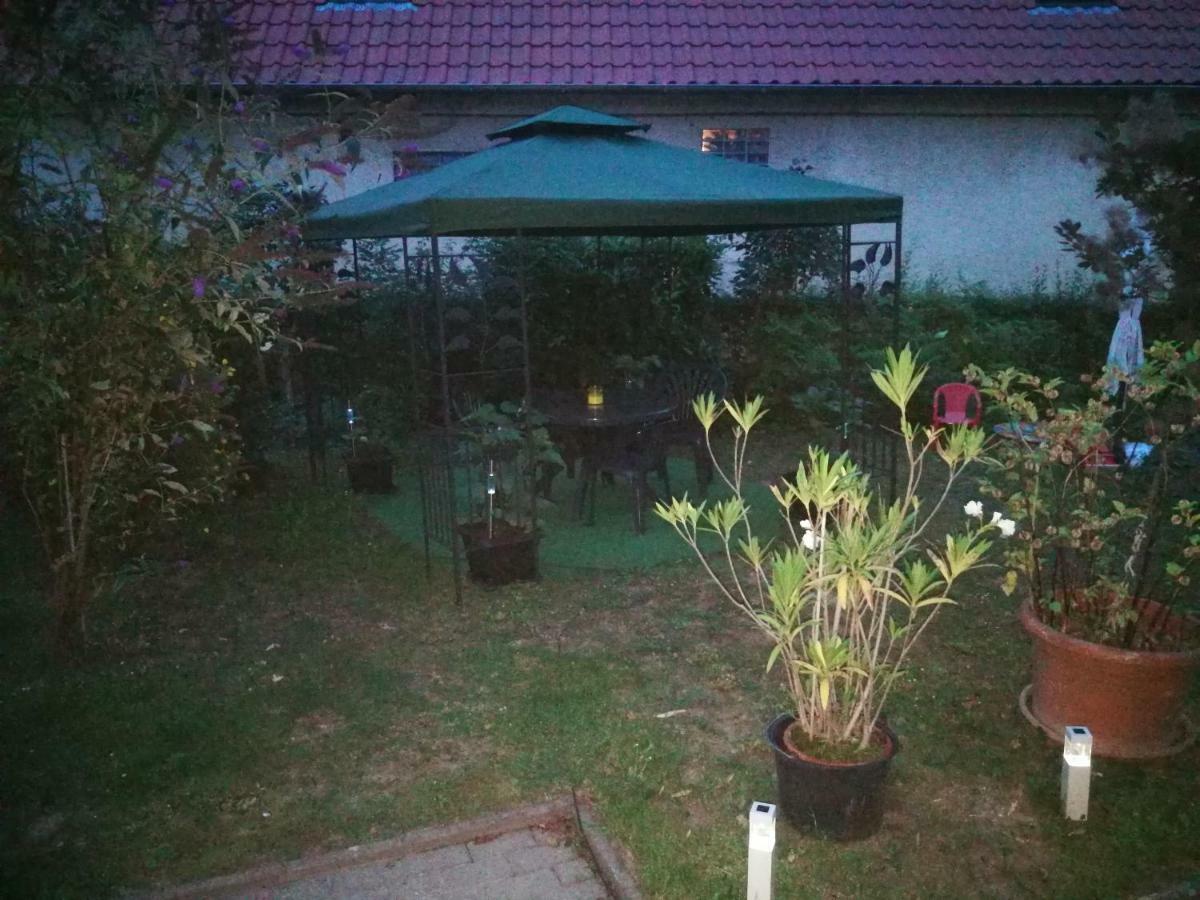 Ferienwohnung Am Finkenherd Dankerode  Luaran gambar